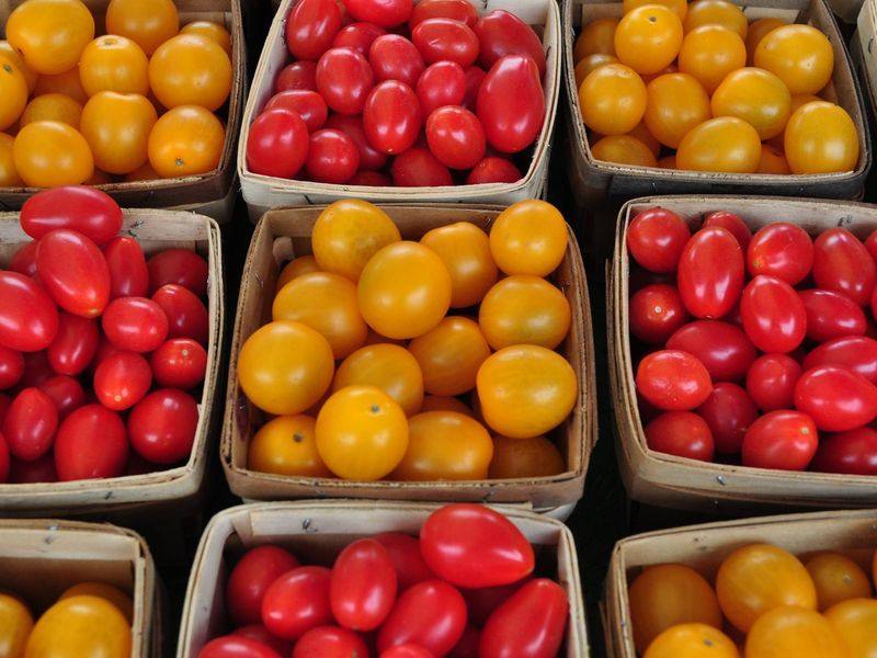 Fresh red and yellow cherry tomatoes in punnets for wholesale supply